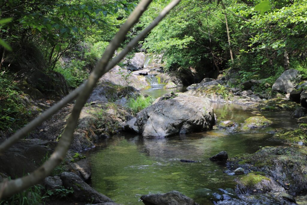 ANELLO_RIO_GAMBARO__0709