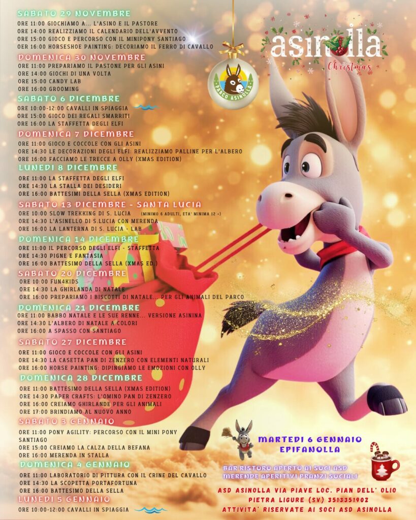 Il parco AsinOlla propone un Natale ricco di attività con animali, giochi creativi, percorsi in natura e laboratori tematici. Un programma ampio che coinvolge bambini e famiglie con esperienze a contatto con cavalli, asini e natura.