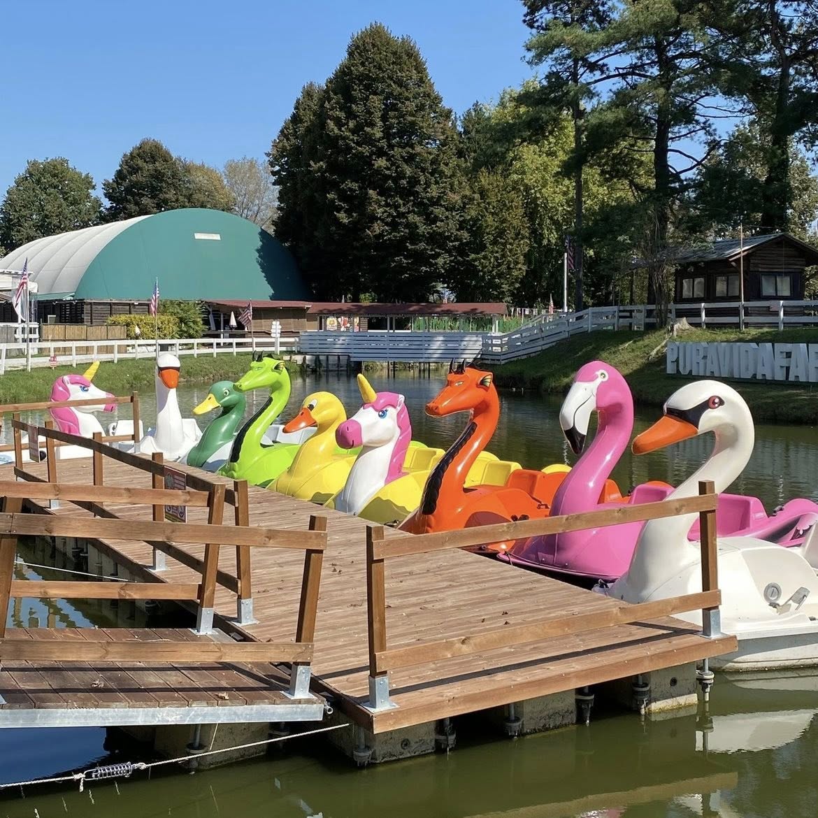 pedalo flotta zucche