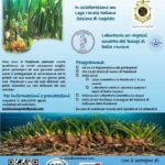 Posidonia Day 2026 a Cogoleto: bambini alla scoperta del mare e della sua biodiversità 782127053_1738820111584629_5908615651421497747_n